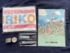 Item thumbnail for item c97e4ba9-d968-4140-b949-fa5f4f20d6a8