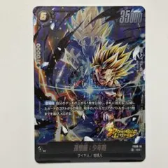 ドラゴンボールフュージョンワールド 地球を破壊する一撃 FB02-104 R