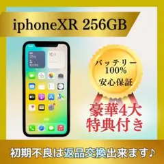 ✨最終値下げ✨iPhone XR 256GB 極美品 バッテリー100%