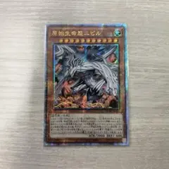 2025年最新】ニビル 25thの人気アイテム - メルカリ