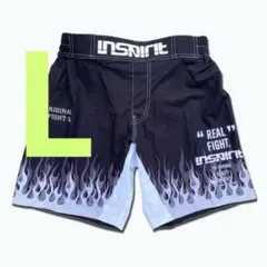 INSPIRIT インスピリット　プロト　ファイヤー