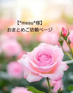*meau*様 リクエスト 2点 おまとめ商品