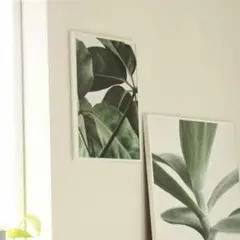 Paper Collective 30×40 Green home 01