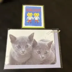 Item thumbnail for item 04419b2d-40a3-43be-bb50-6529bf89d2aa