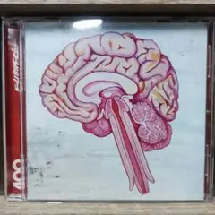 新品未使用 shing02 tiro livre 7inch 2025年最新】shing02の人気アイテム - メルカリ