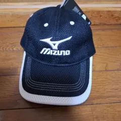 Item thumbnail for item 5b578360-85b3-443e-a29d-e4590e95d83b