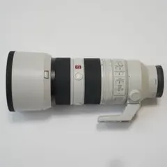 2026年最新】sony 70-200mm f2.8 gm oss iiの人気アイテム - メルカリ