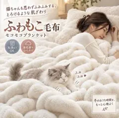 【新品未使用】ふわとろ 毛布 ブランケット ベージュSサイズ オールシーズン
