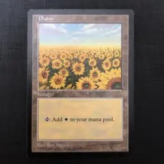 2025年最新】平地 ひまわりの人気アイテム - メルカリ