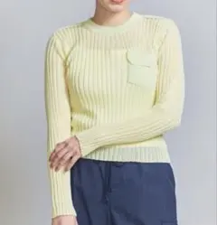 beauty&youth シアーリブ ニット プルオーバー