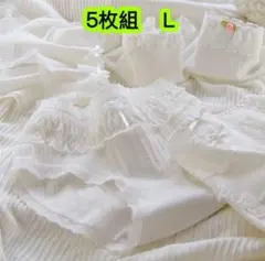 5枚組Ｌ女の子下着 綿 女子高生ショーツ ジュニア下着レディース 肌着　320号