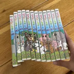 はぴいタイム DVD 1〜12セット
