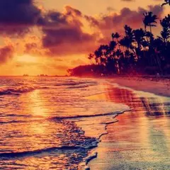 むーちょ様専用