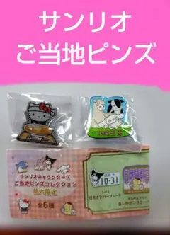未使用　未開封　サンリオ　ご当地ピンズ　栃木限定　ハローキティ　シナモロール
