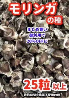 きつね様 リクエスト 2点 まとめ商品