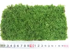 お豆腐さん様 リクエスト 3点 まとめ商品