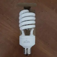 Item thumbnail for item 83d90b83-abd3-478c-9c3a-a1f6cd565b9f