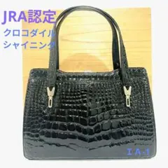 2026年最新】クロコダイル バッグ jraの人気アイテム - メルカリ