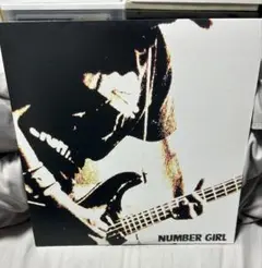 NUMBER GIRL レコード LP 4枚セット 新品 2025年最新】 Number girl レコードの人気アイテム - メルカリ