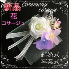 Item thumbnail for item d63403f6-f8b7-463a-8a73-192cd89c7b21