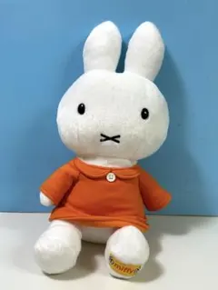 Item thumbnail for item c2c22707-fe76-4938-8f50-1c2ecd4bb092