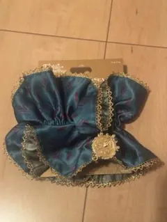 東京ディズニーシー　ファンタジースプリングス　アナ雪のシュシュ