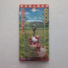 2026年最新】ファスナーチャーム キティの人気アイテム - メルカリ