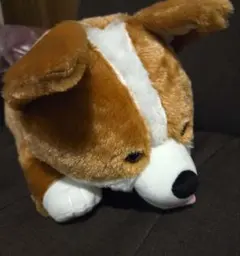 FANS コーギーぬいぐるみXL プレミアム 犬 いぬ