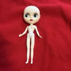 2026年最新】ネオブライス 人形本体の人気アイテム - メルカリ