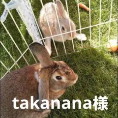 ◆◆takanana様専用◆◆