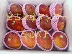 宮古島産マンゴー 5kg以上 - メルカリ