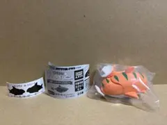 ぱくもぐ！サメジャー〜宿敵！シャチがやってきた〜 ネコザメ
