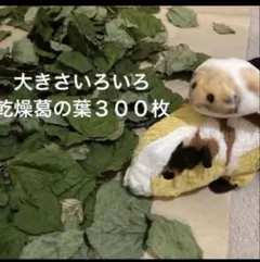 ふみちゃん様 リクエスト 2点 まとめ商品