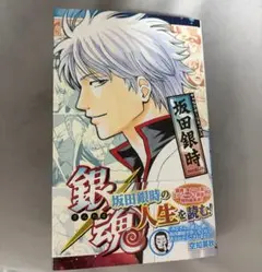 銀魂 キャラクターリミックス 坂田銀時