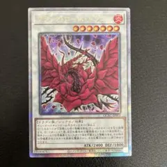 2026年最新】ブラックローズドラゴン 25th クオシクの人気アイテム