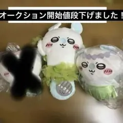 치이카와 映画 人魚の島のひみつ昆布締めぬいぐるみ 모모가 2種