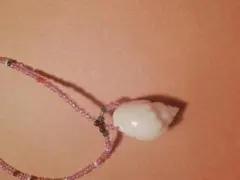 天然カウリー貝 コンクビーズ アンクレット