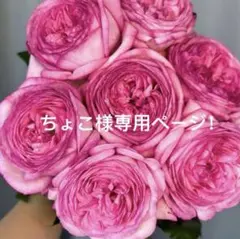 ちょこ様ご専用ページ！