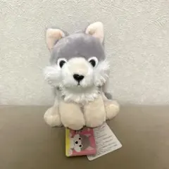 2026年最新】もふっとオオカミの人気アイテム - メルカリ