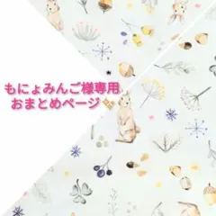 もにょみんご様 リクエスト 2点 まとめ商品