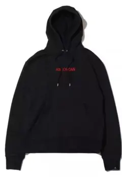 ジョーダン ナイキ エア ジョーダン パーカー フーディー US Lサイズ
