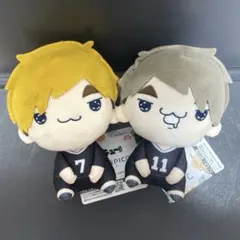 新品タグ付き　ハイキュー　もちぴこぬいぐるみ　2種セット