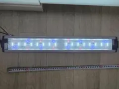 GEX クリア LED POWERⅢ 600[幅60cm水槽用]赤・青・白3色