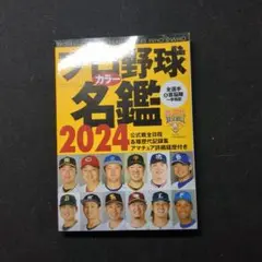 プロ野球カラー名鑑 2024年