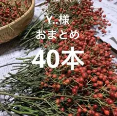 Y..様 リクエスト 4点 まとめ商品