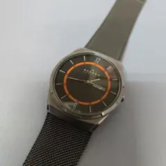 SKAGEN スチールメッシュ デイデイトウォッチ SKW6007 - メルカリ