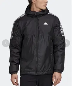 Item thumbnail for item b13592dc-0ebc-4625-a357-c3b66e522f68