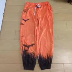 Item thumbnail for item e7e46114-ed6a-467b-9d6e-0bc46eeeb762