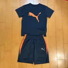 PUMA ネイビーグレー/オレンジ 上下セット 130