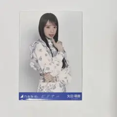 乃木坂46 矢田萌華 ビリヤニ 生写真 チュウヒキ - メルカリ